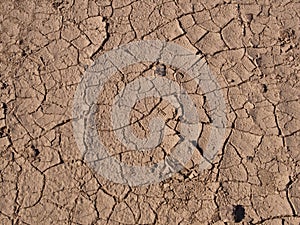 A shot of a dry, cracked desert floor