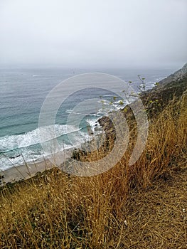 Shot of dry grass on a seascape background in Cangas, Pontevedra