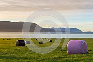 Shot of Fields near Akureyri in Iceland