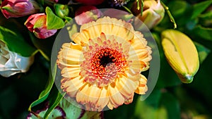 shot of a flower in a bouquet standing on a table in a vase