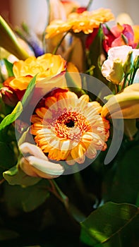 shot of a flower in a bouquet standing on a table in a vase