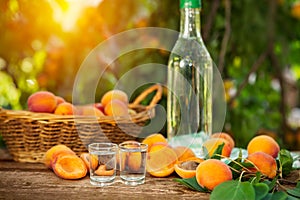 Shot glass and apricot brandy
