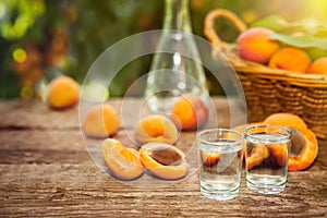 Shot glass with homemade apricot brandy