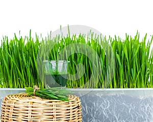 Shot glass of wheat grass with fresh cut wheat grass