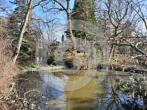 A shot of a grubby looking forest lake, Stover Country Park, Devon, UK