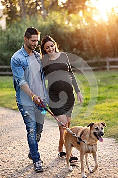 Happy pregnant couple looking their dog while walking in the park