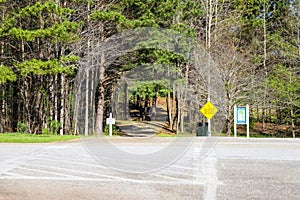 A shot of a hiking path in the forest across a parking lot surrounded by lush green trees at Lake Horton Park