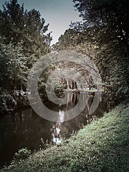 Shot of the Lambro Park in Milan in autumn