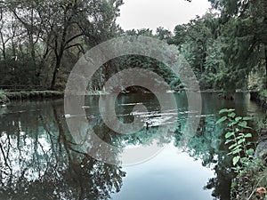 Shot of the Lambro Park in Milan in autumn