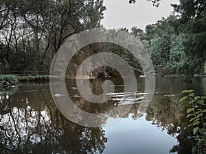 Shot of the Lambro Park in Milan in autumn