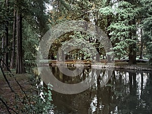 Shot of the Lambro Park in Milan in autumn