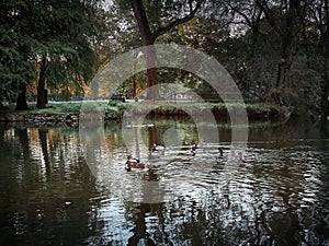 Shot of the Lambro Park in Milan in autumn