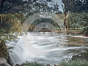 Shot of the Lambro Park in Milan in autumn