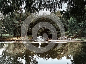 Shot of the Lambro Park in Milan in autumn