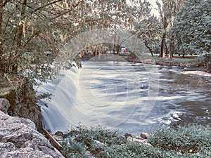 Shot of the Lambro Park in Milan in autumn