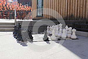 A shot of a large black and white chess set on the sidewalk surrounded by lush green plants, bare winter trees and shops