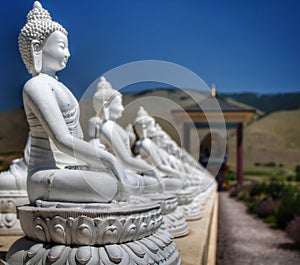 Ewan Garden of One Thousand Buddhas, Arlee, MT. photo