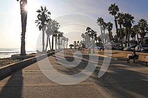 A shot of a long smooth concrete bike trail at the beach next to the vast blue ocean water with tall lush green palm trees