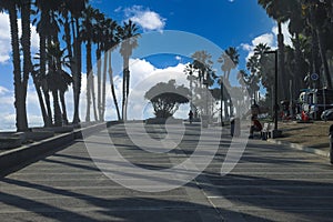 A shot of a long smooth concrete bike trail at the beach next to the vast blue ocean water with tall lush green palm trees