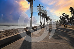 A shot of a long smooth concrete bike trail at the beach next to the vast blue ocean water with tall lush green palm trees