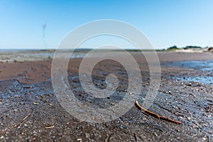 Shot of the low tide shore in Cais PalafÃ­tico da Carrasqueira, Portugal