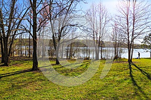 A shot of a man fishing on the banks of the vast still lake water with thin lush green trees and plants along the banks