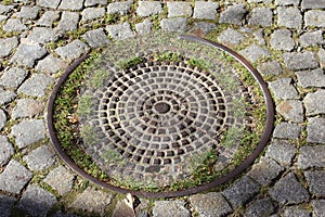 Shot of a manhole cover being cover in moss in the middle of the cobblestone street.