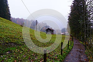 Shot of a misty autumn day in the Allgaeu alps