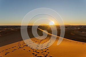 Shot of North Algodones Dunes Wilderness Area Acolita USA