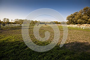 Shot of a paddock with two horses in the distance