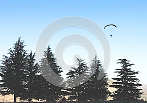 Shot of a paratrooper soaring in the sky over coniferous trees