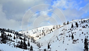 Shot of picturesque winter scenery with a cloudscape, snow-covered trees, and hills