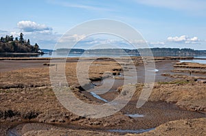 A shot of Puget Sound from the viewing platform in the Billy Frank Jr. Nisqually National Wildlife Refuge, WA, USA
