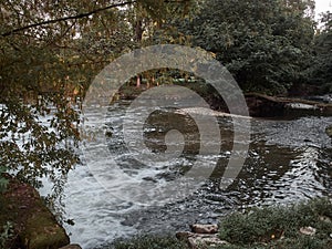 A shot of the river at Lambro Park in Milan in autumn season