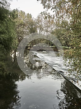 A shot of the river at Lambro Park in Milan in autumn season