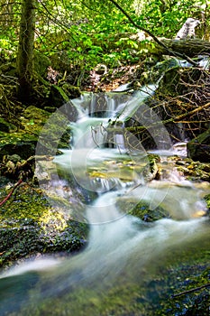 Shot of a scenic waterfall in Ferguson Canyon, USA photo