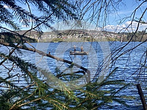 shot through scrub of two anglers in a boat on a lake