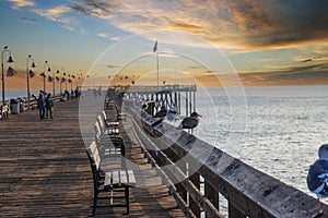 A shot of seagulls standing on the railing of a long brown wooden pier with people walking and American flags flying