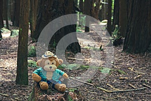 Shot of a small soft toy monkey sitting on the tree trunk in a forest during the daytime