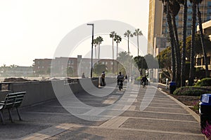 A shot of a smooth winding bike trail at the beach at sunset with people riding and walking on the trail surrounded by palm trees