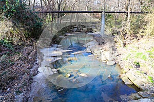 A shot of the still green creek waters with lush green trees and bare branches along the banks of the creek