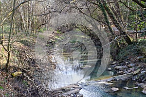 A shot of the still green creek waters with lush green trees and bare branches along the banks of the creek