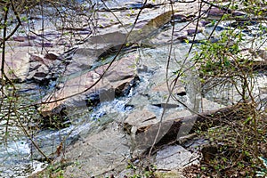 A shot of the still green creek waters with lush green trees and bare branches along the banks of the creek