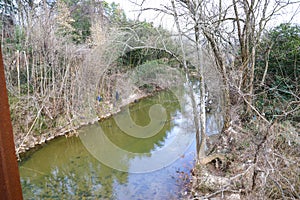 A shot of the still green creek waters with lush green trees and bare branches along the banks of the creek