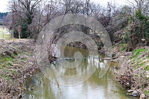 A shot of the still green creek waters with lush green trees and bare branches along the banks of the creek