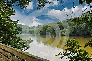 A shot of the still waters of the Chattahoochee river with lush green trees reflecting off the water with a boardwalk