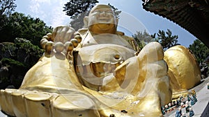 Stone statue of Buddha, deity, sacred animal and creature