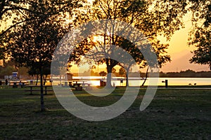 A shot of the sun peaking through the trees at the park at sunset with lush green trees and grass and people relaxing in the park