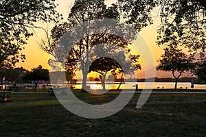 A shot of the sun peaking through the trees at the park at sunset with lush green trees and grass and people relaxing in the park