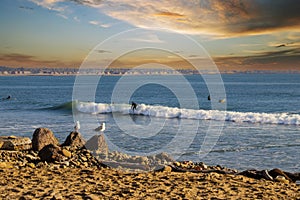 A shot of surfers riding waves in the vast blue ocean water near the pier with seagulls standing on rocks along the beach